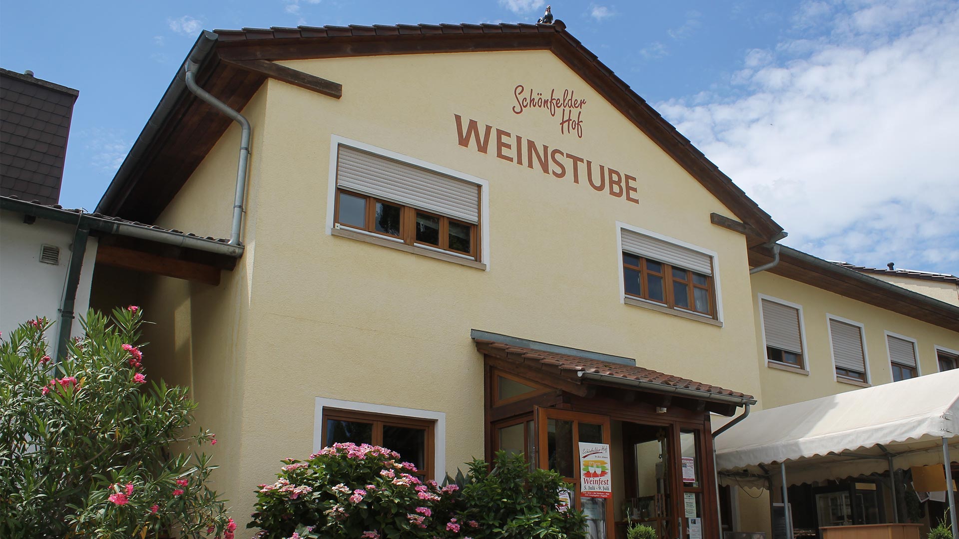 Фото 7 из Weingut Schönfelder Hof