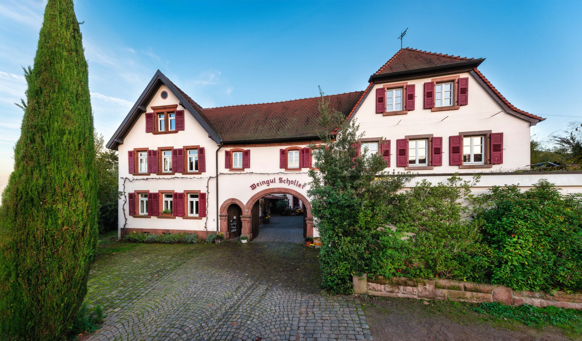 Foto 2 von Weingut Scholler