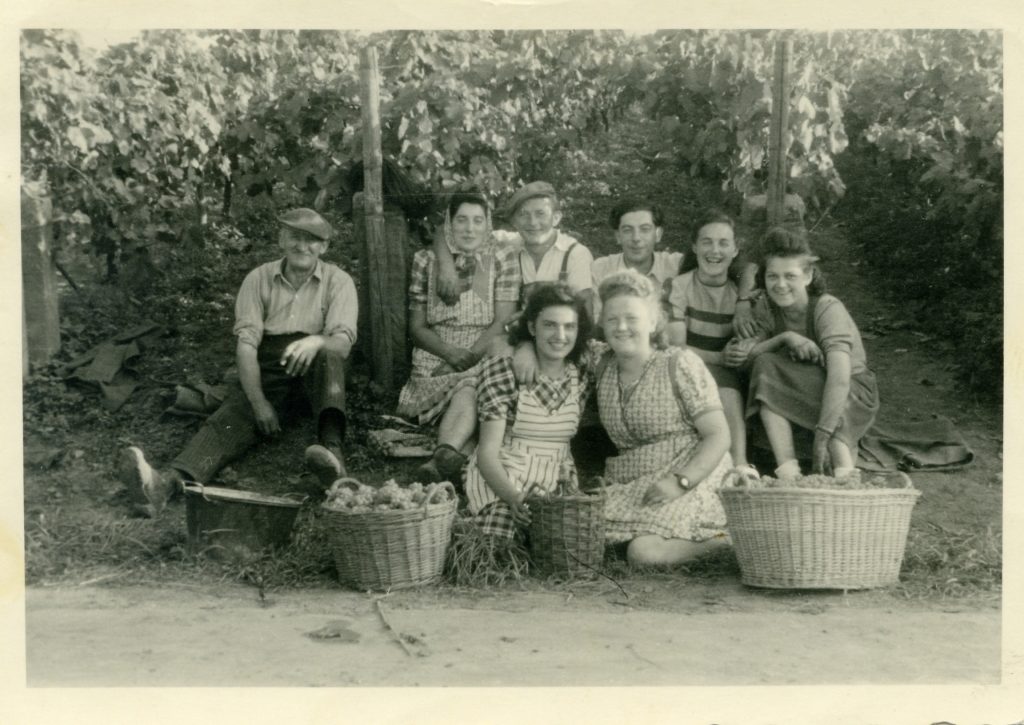 Weingut Schreiner & Sohn