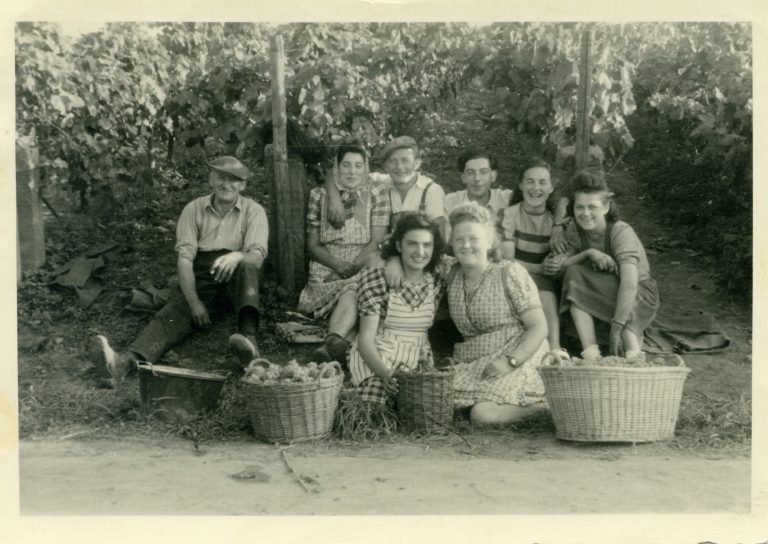 Foto 3 von Weingut Schreiner & Sohn
