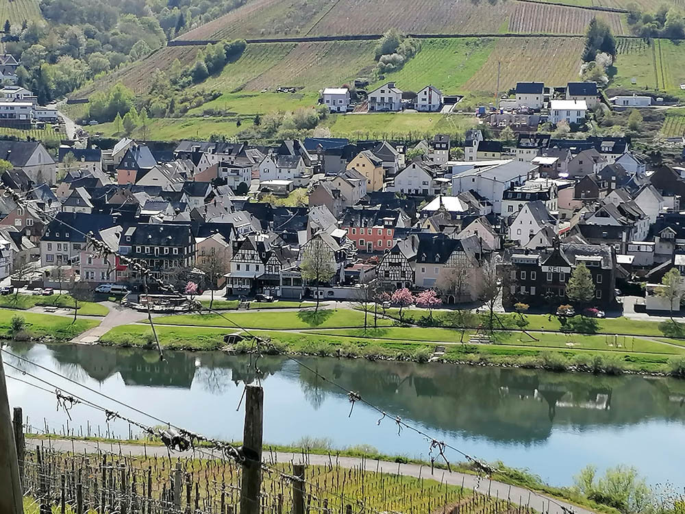 Foto 3 von Weingut Schuh-Sausen