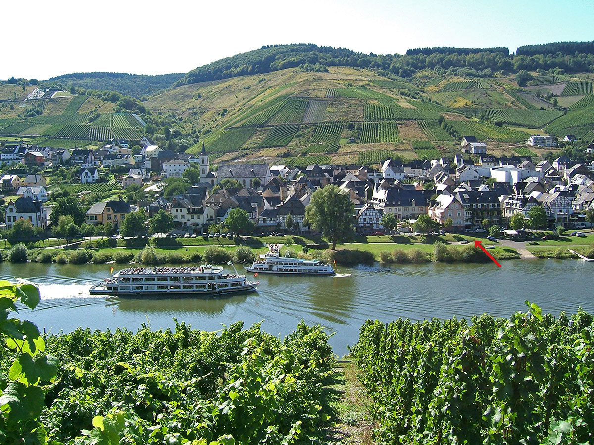 Foto 1 von Weingut Schuh-Sausen