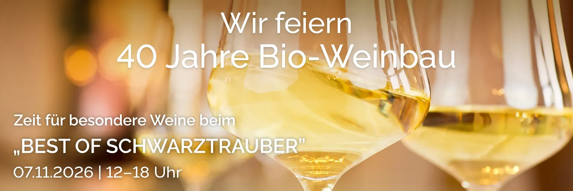 Foto 2 von Weingut Schwarztrauber