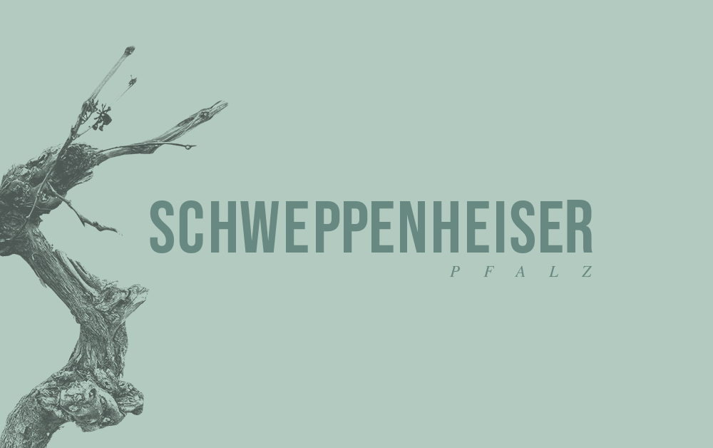 Weingut Schweppenheiser