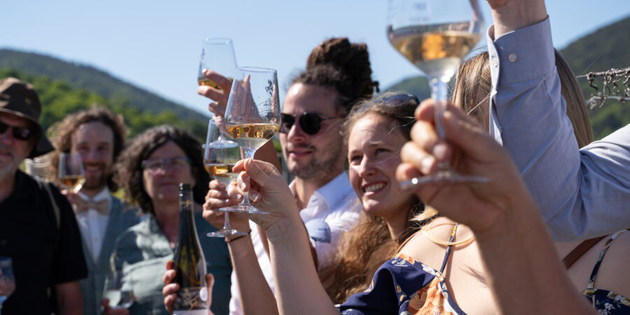Foto 5 von Weingut Seeber