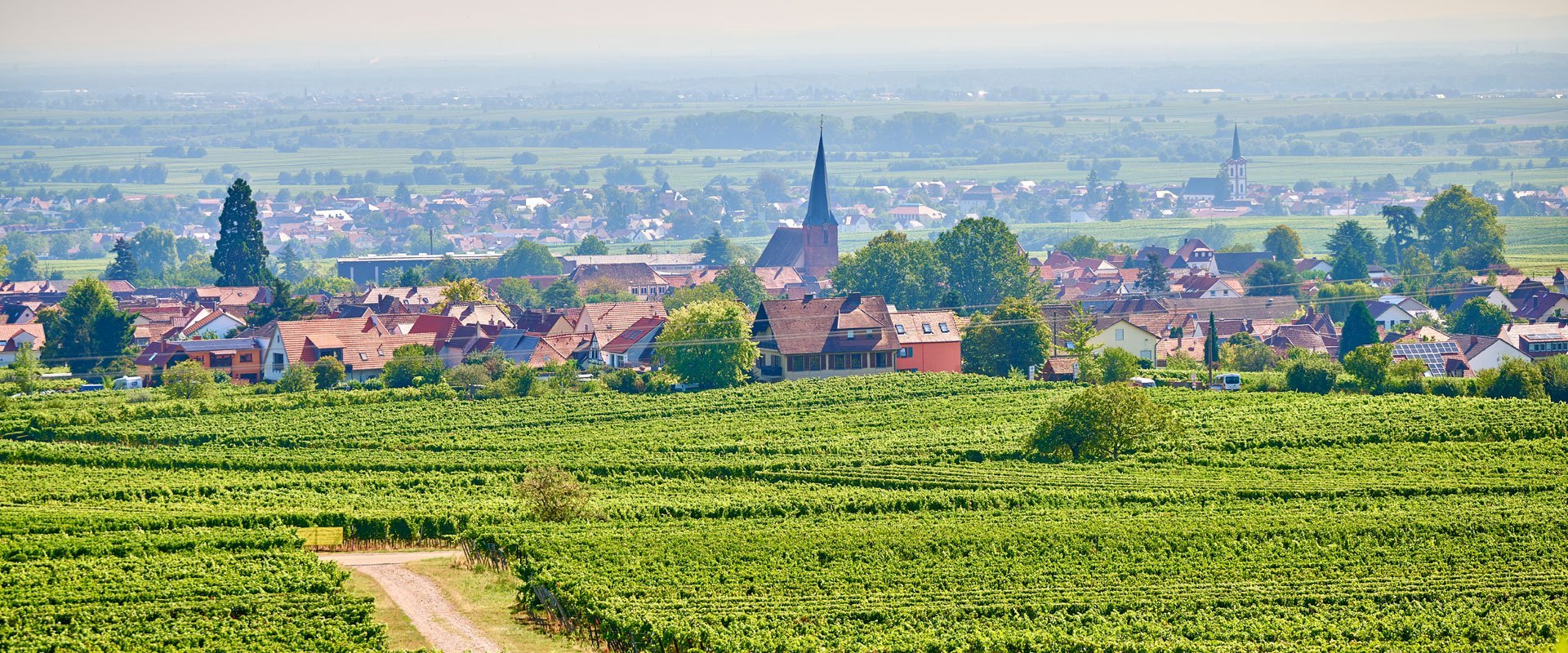 Foto 1 von Weingut Seitz und Schreiner