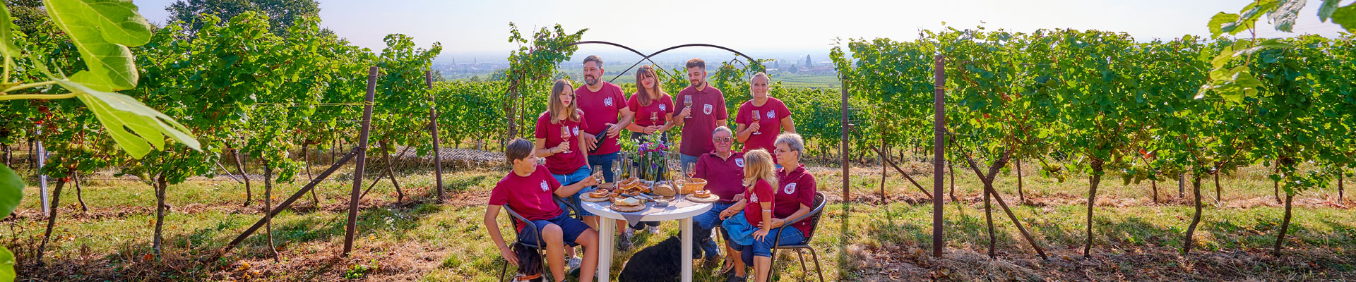 Foto 2 von Weingut Seitz und Schreiner