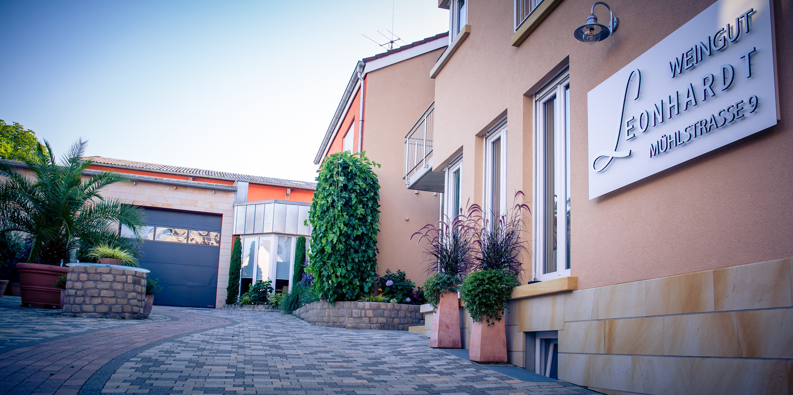Foto 1 von Weingut Sektgut Leonhardt