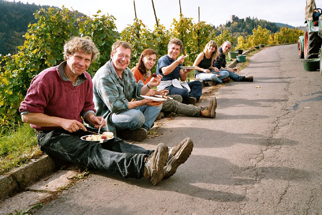 Foto 1 von Weingut - Sektkellerei Kreuter