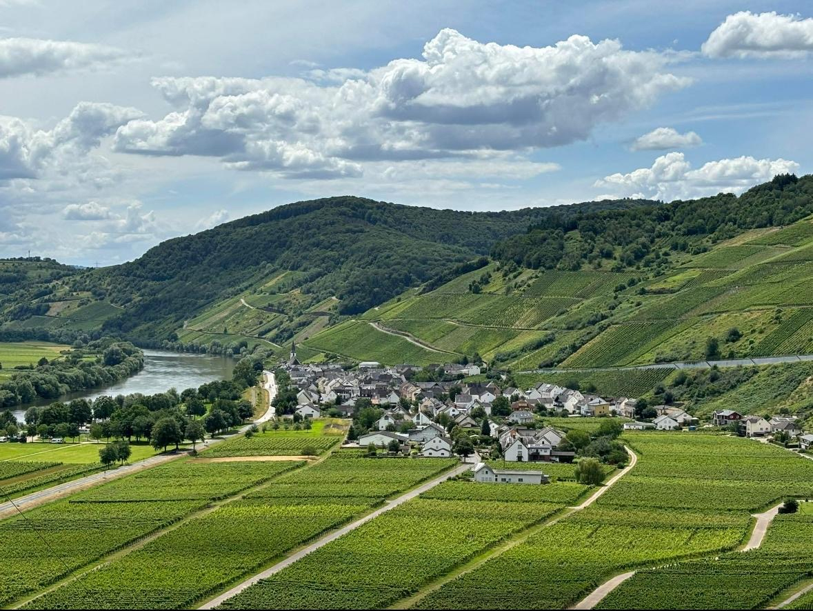 Weingut Selbach-Erz