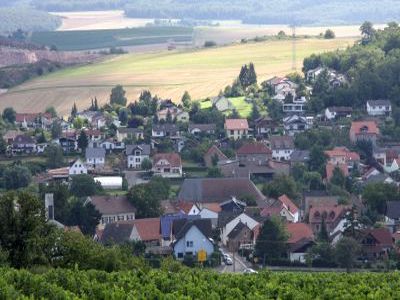 Foto 7 von Weingut Senger-Edinger