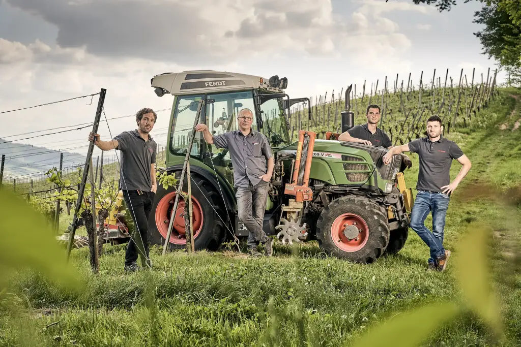 Foto 1 von Weingut Siegfried und Georg Moosmann GbR