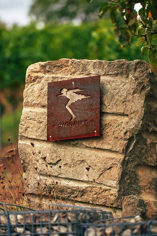 Photo 3 of Weingut Siegrist