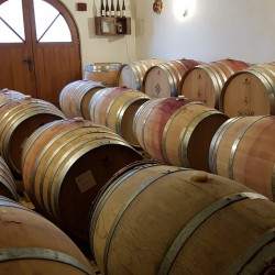 Foto 7 von Weingut Siener Dr. Wettstein