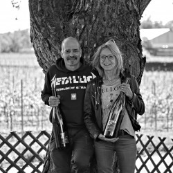 Foto 6 von Weingut Siener Dr. Wettstein