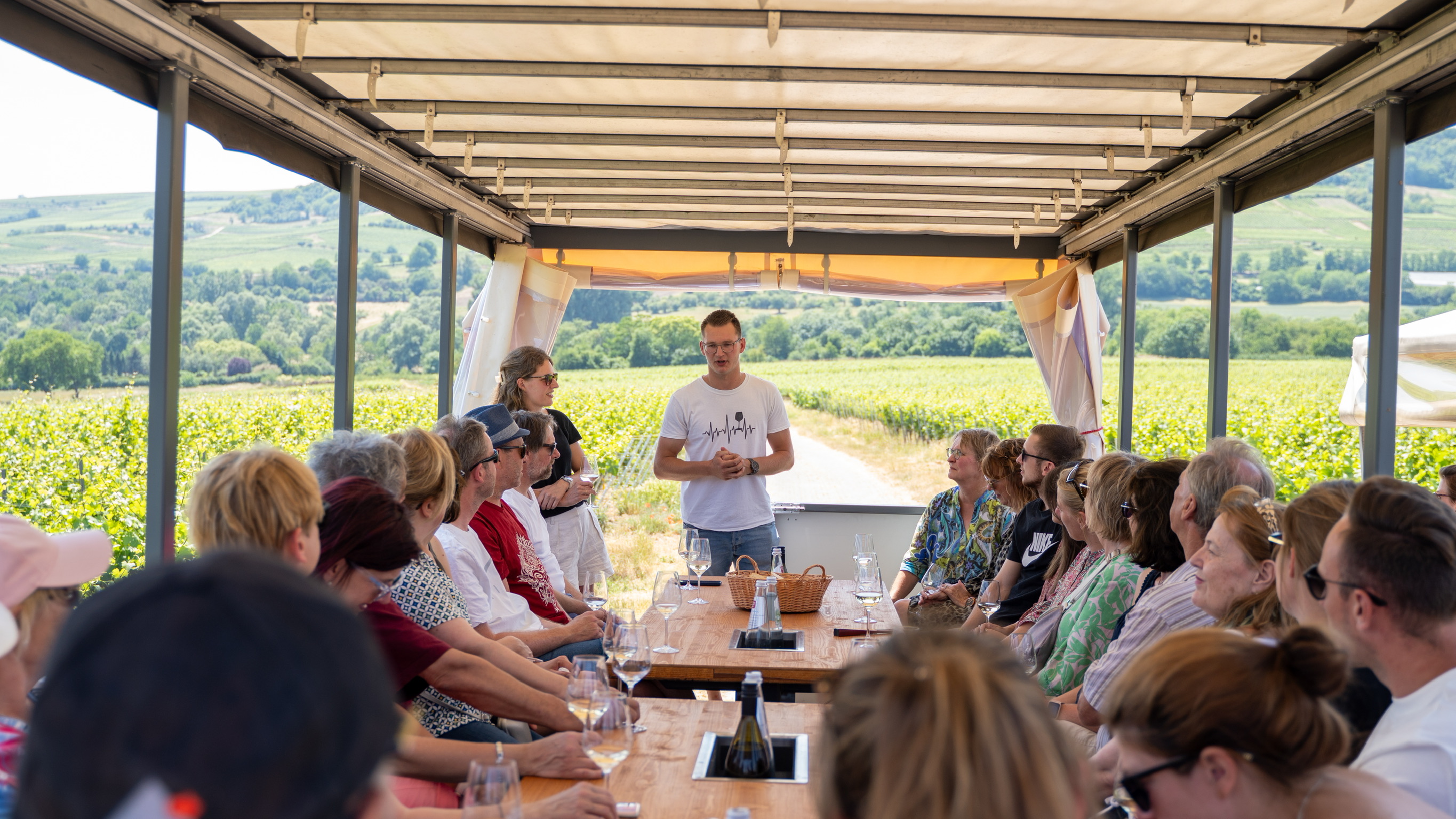 Weingut Singer-Fischer