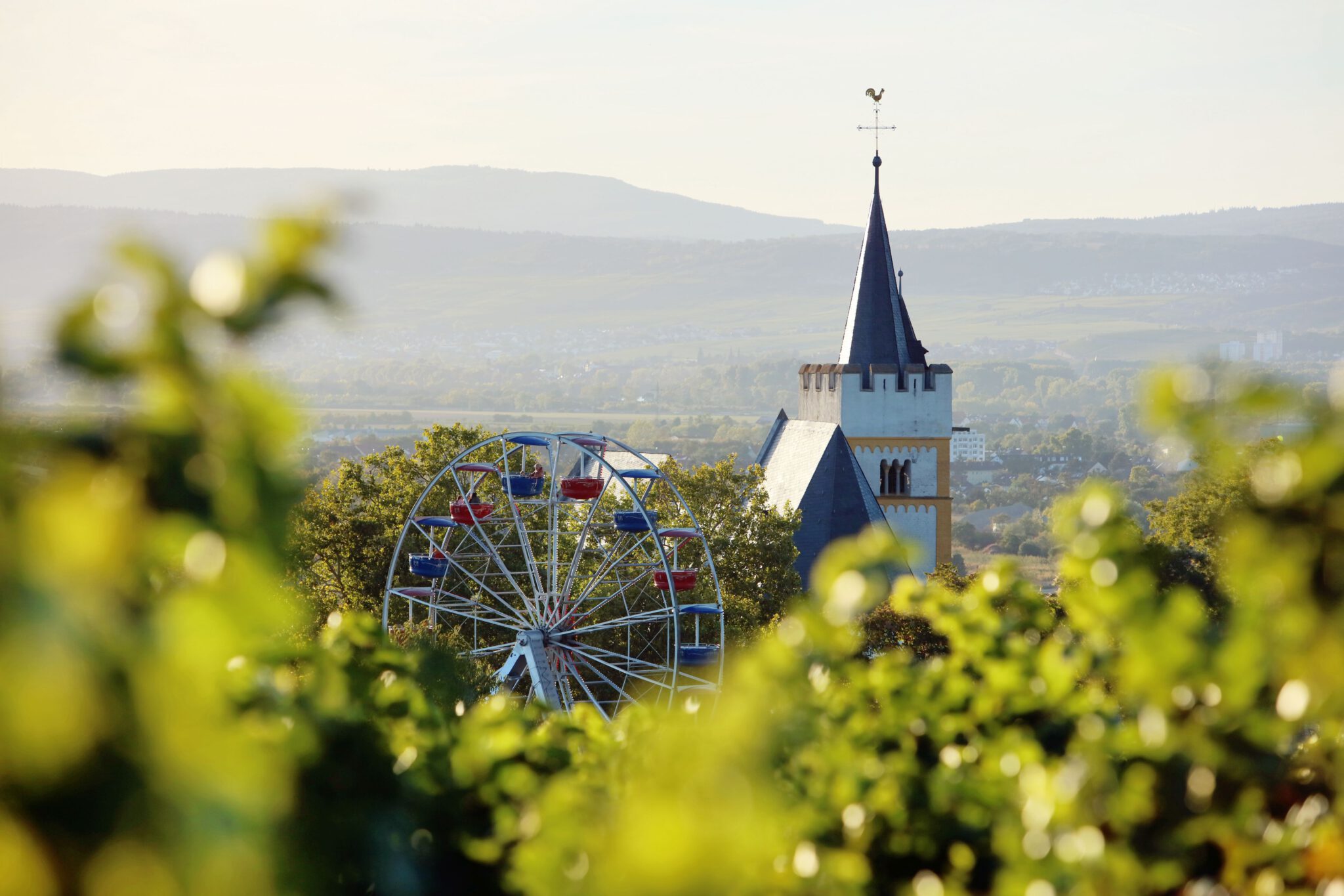 Foto 4 von Weingut Singer-Fischer