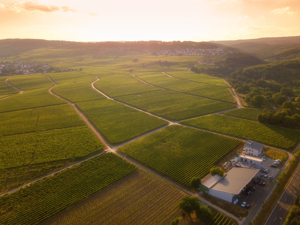 Foto 1 von Weingut Sohns