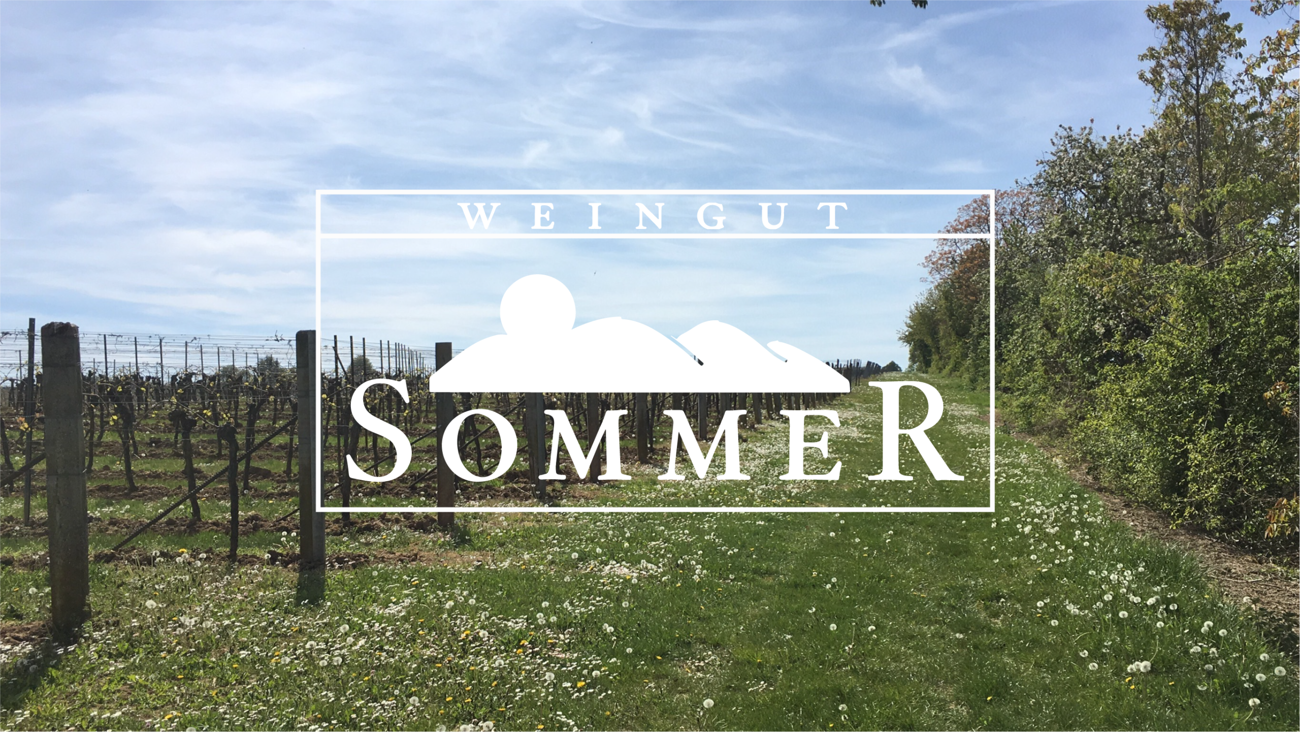 Weingut Sommer