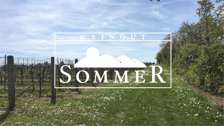 Фото 2 из Weingut Sommer