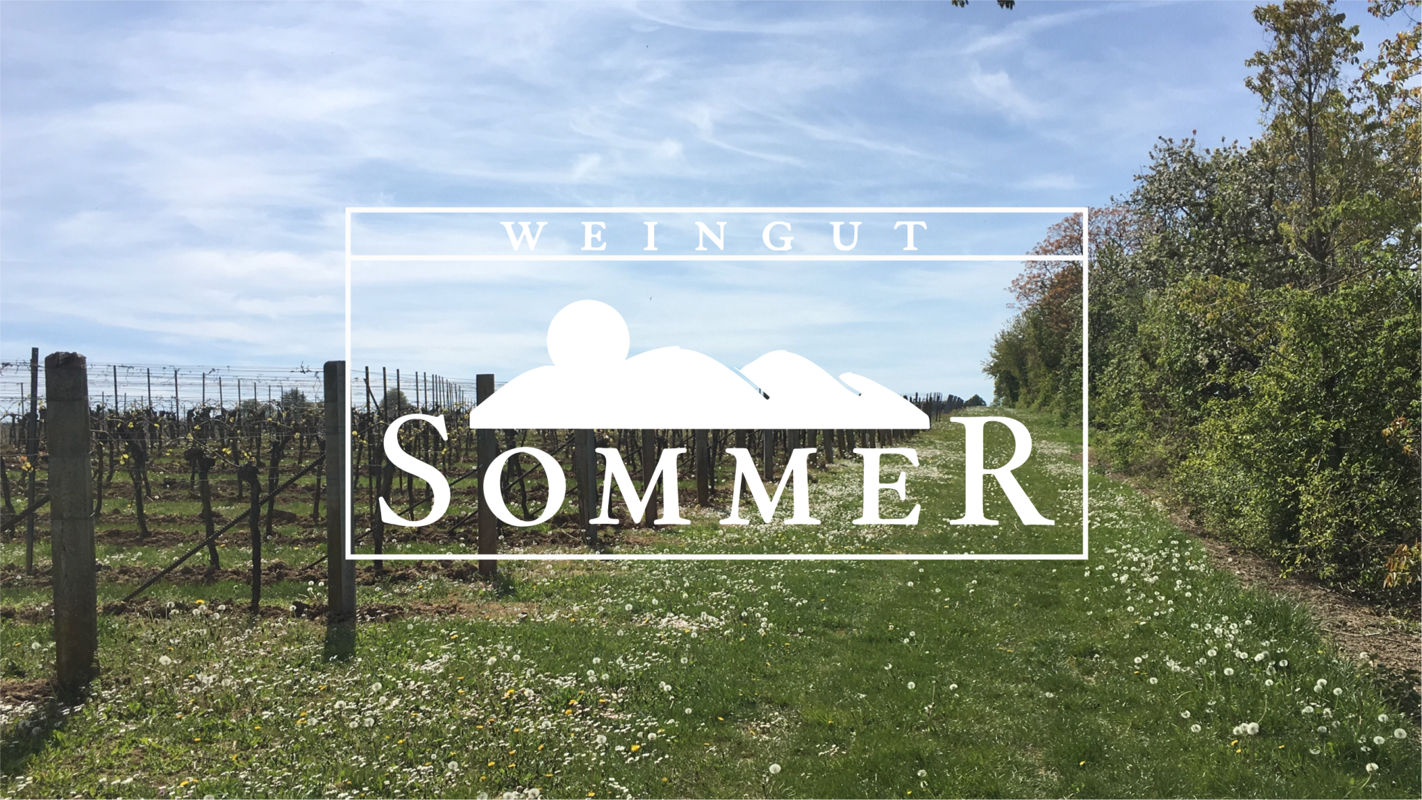 Фото 4 из Weingut Sommer
