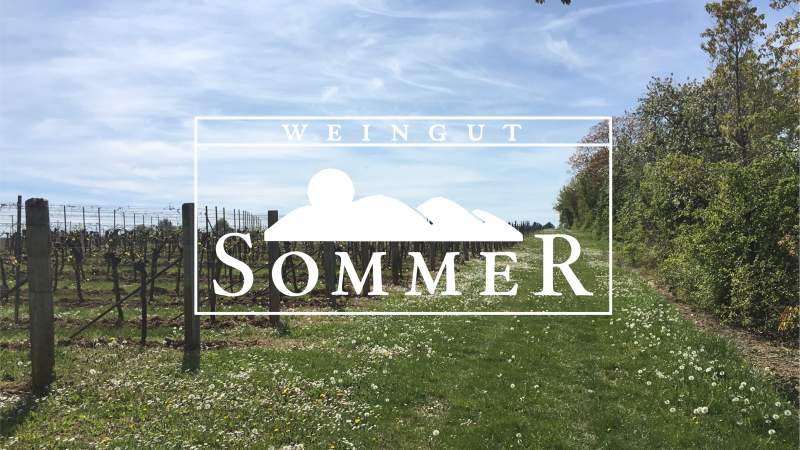 Фото 5 из Weingut Sommer