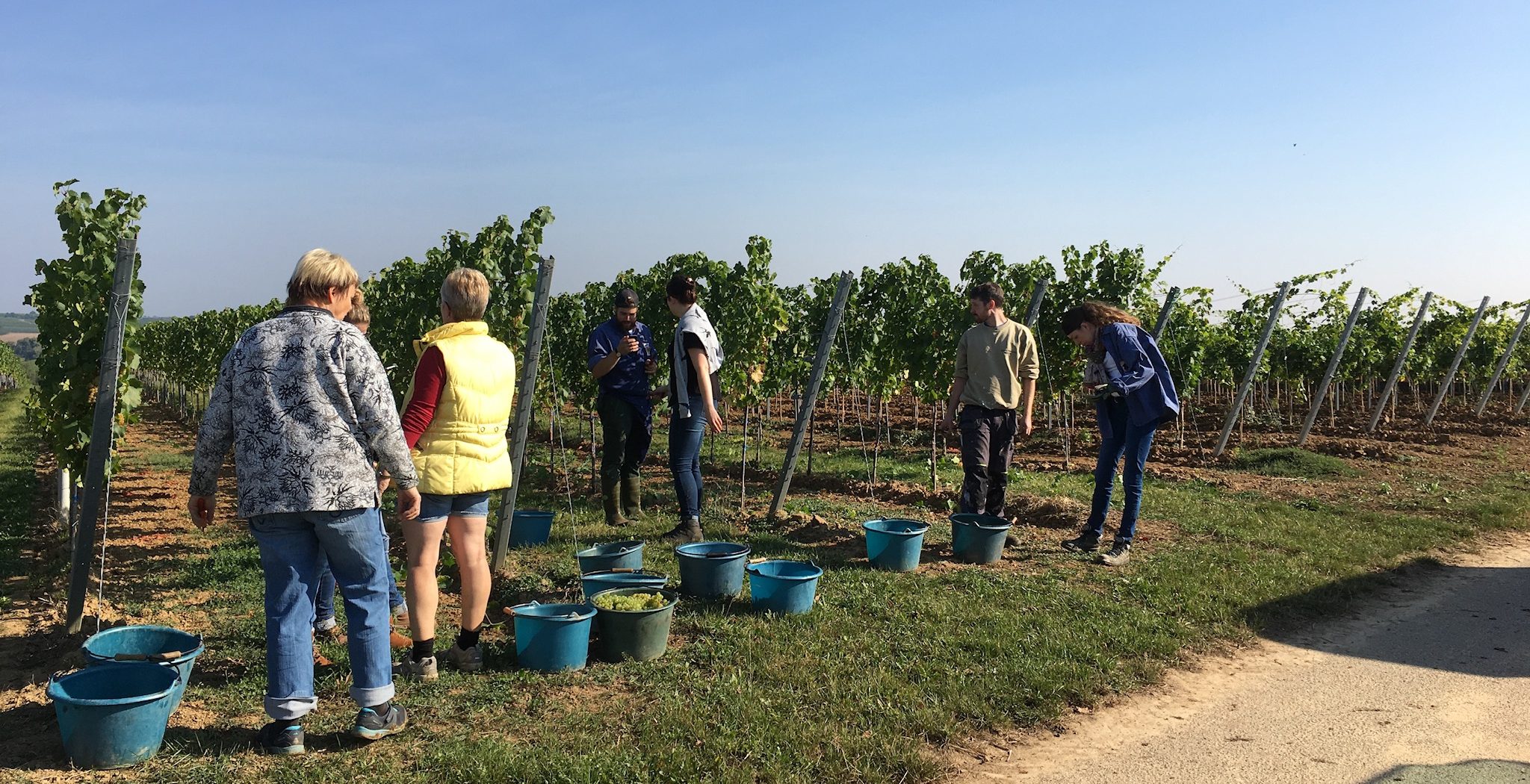 Фото 6 из Weingut Sommer