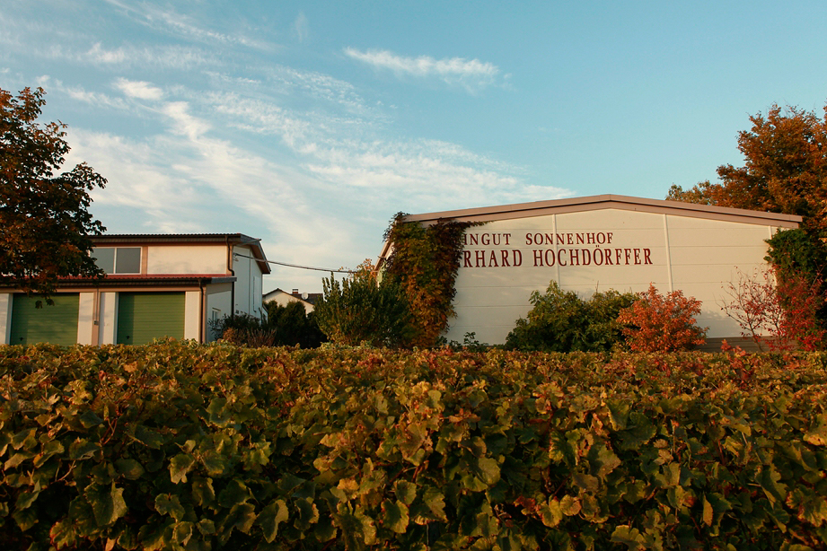 Foto 1 von Weingut Sonnenhof