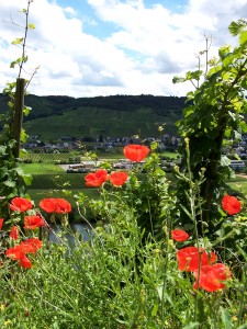 Weingut St. Michael