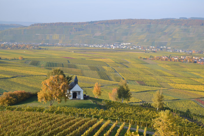 Foto 5 von Weingut ST. NIKOLAUS-HOF