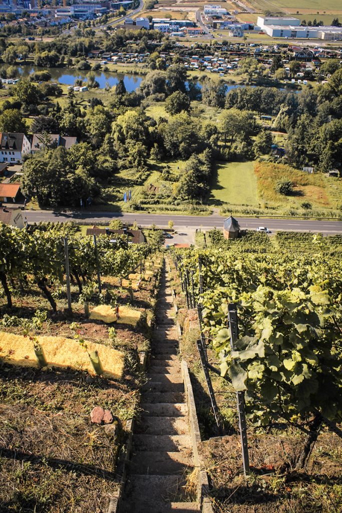 Foto 4 von Weingut Stadt Klingenberg