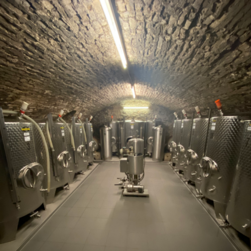 Foto 1 von Weingut Stefan Molitor