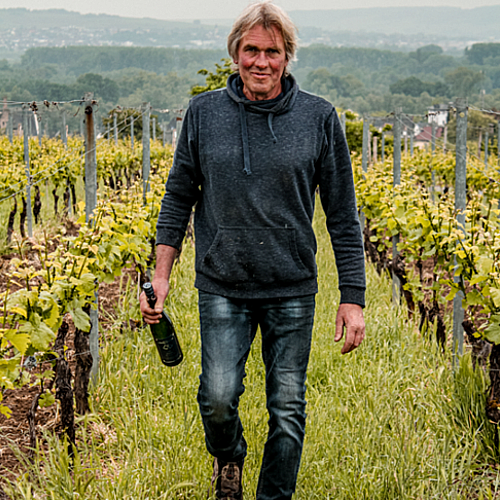 Foto 4 von Weingut Stefan Molitor