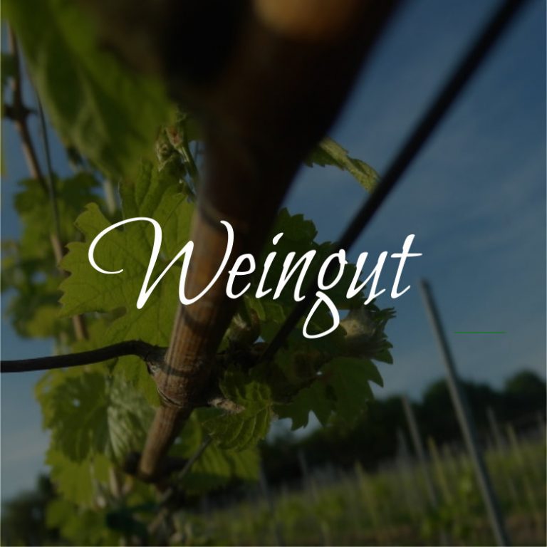 Foto 3 von Weingut Steffen Loose