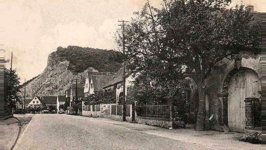 Foto 2 von Weingut Steffen Schabehorn