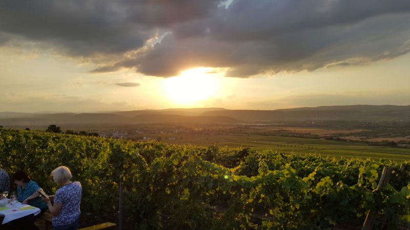 Foto 6 von St. Marienhof Weingut