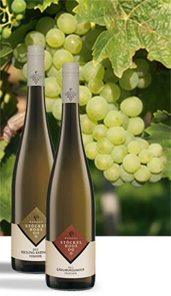 Foto 5 von Weingut Stöckel-Hoos