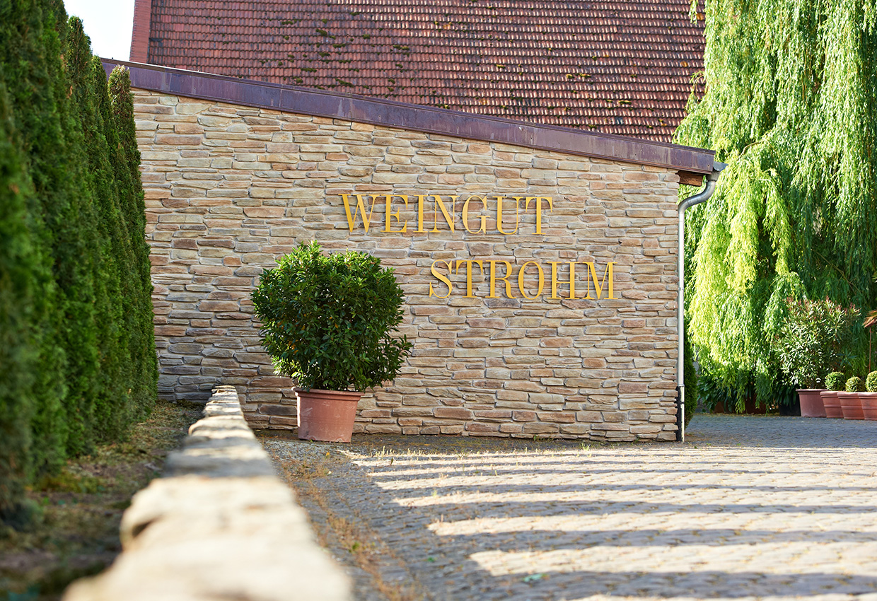 Foto 1 von Weingut Strohm