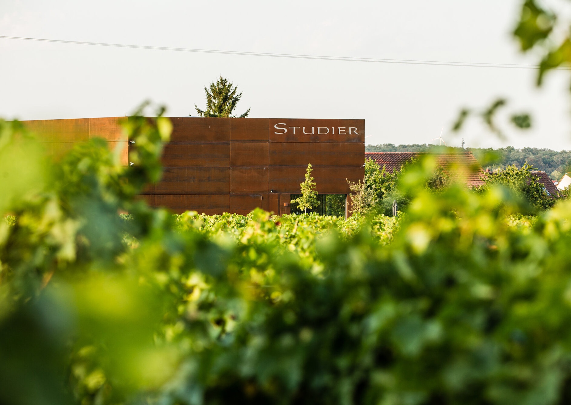 Weingut Studier