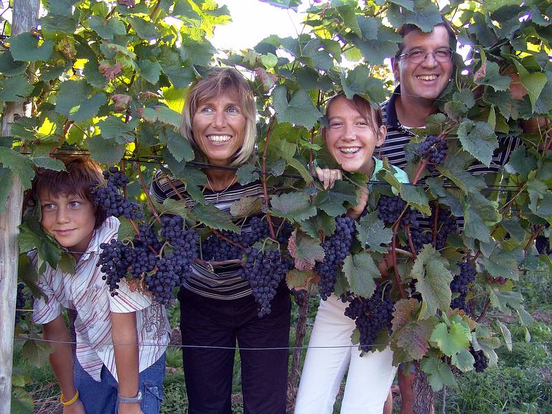 Weingut Susanne Schmidt