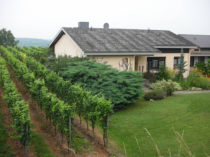 Foto 4 von Weingut Susanne Schmidt