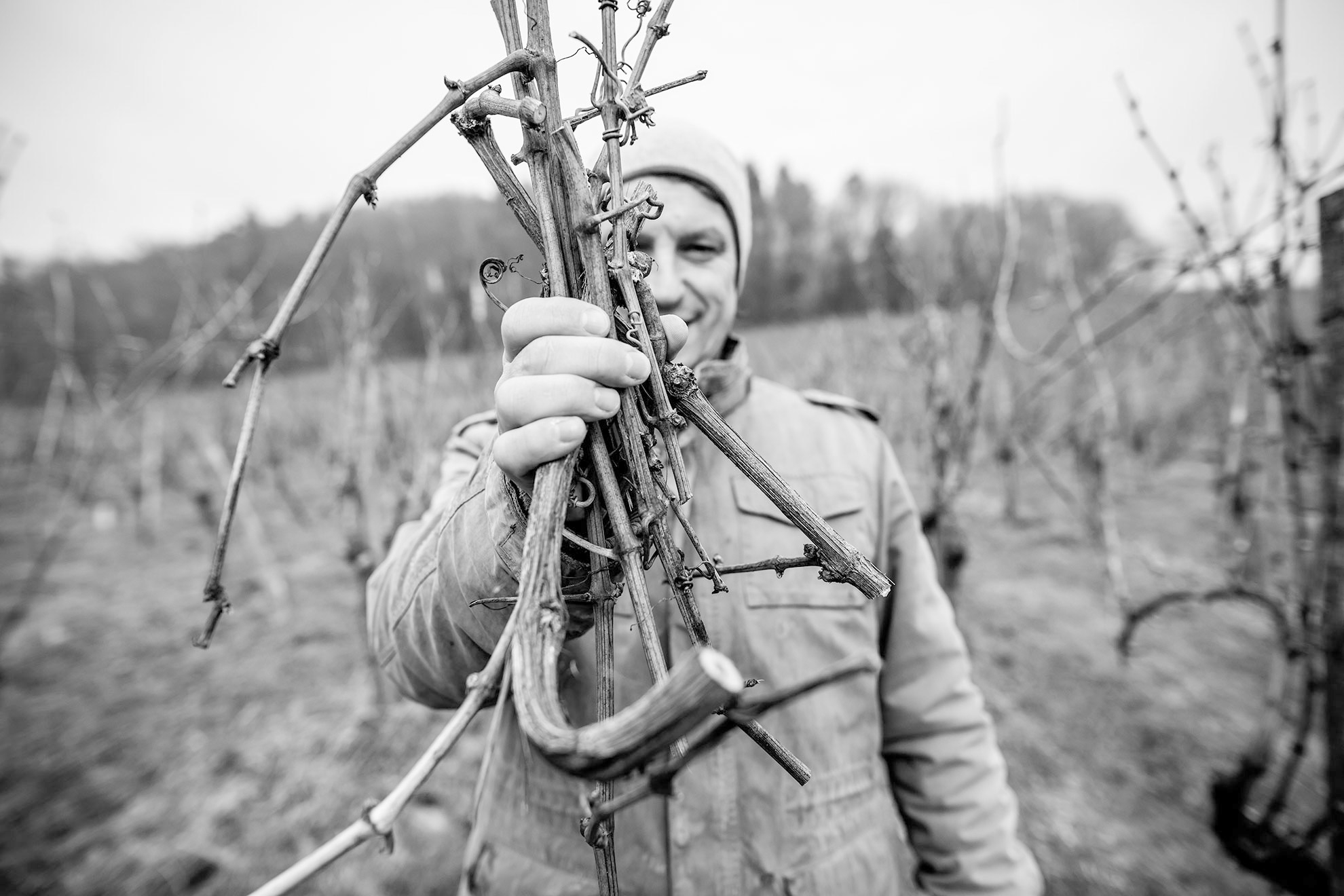 Foto 2 von Weingut Susanne und Berthold Clauß