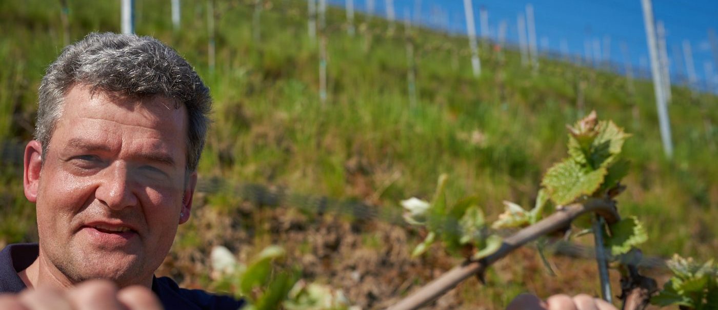 Foto 2 von Weingut Theo Loosen