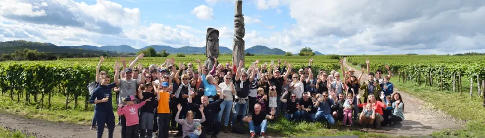 Foto 4 von Weingut Theobald Pfaffmann GbR