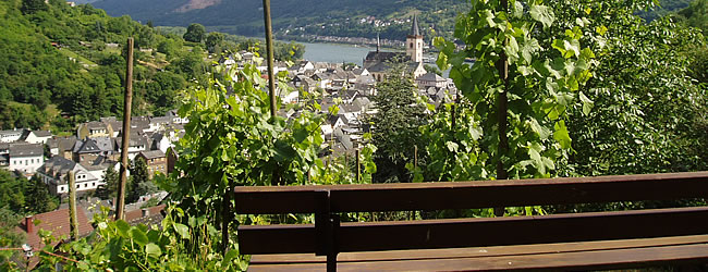 Foto 4 von Weingut Theodor Nies Söhne
