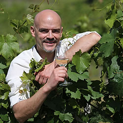 Foto 5 von Weingut Theodor Nies Söhne
