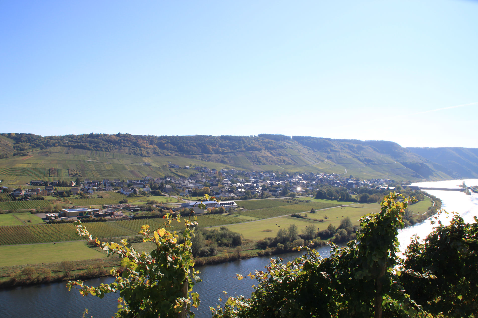 Foto 2 von Weingut Thömmes