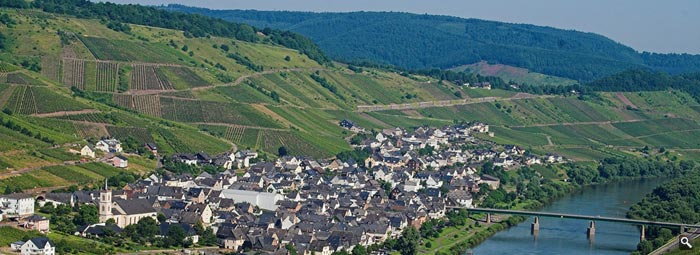 Weingut Thomas Burg