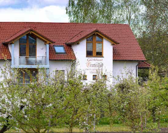 Foto 7 von Weingut Thomas Düringer