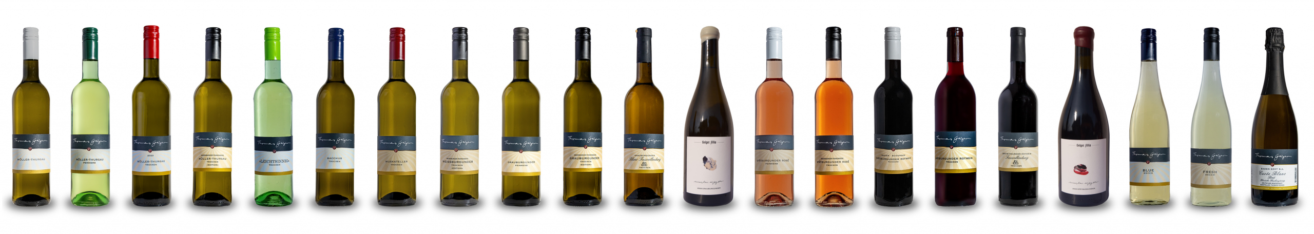 Foto 3 von Weingut Thomas Geiger